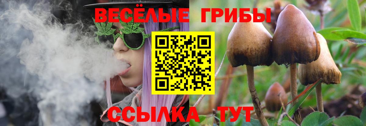 Северобайкальск  Галлюциногенные грибы Cubensis  Галлюциногенные грибы мухоморы  Вход с VPN 